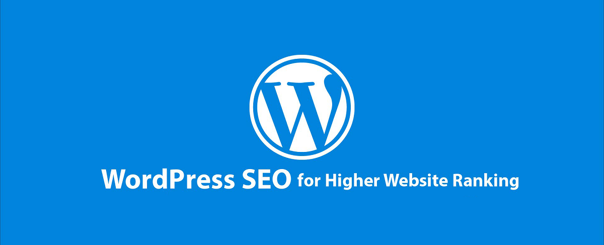 wordpress seo guide